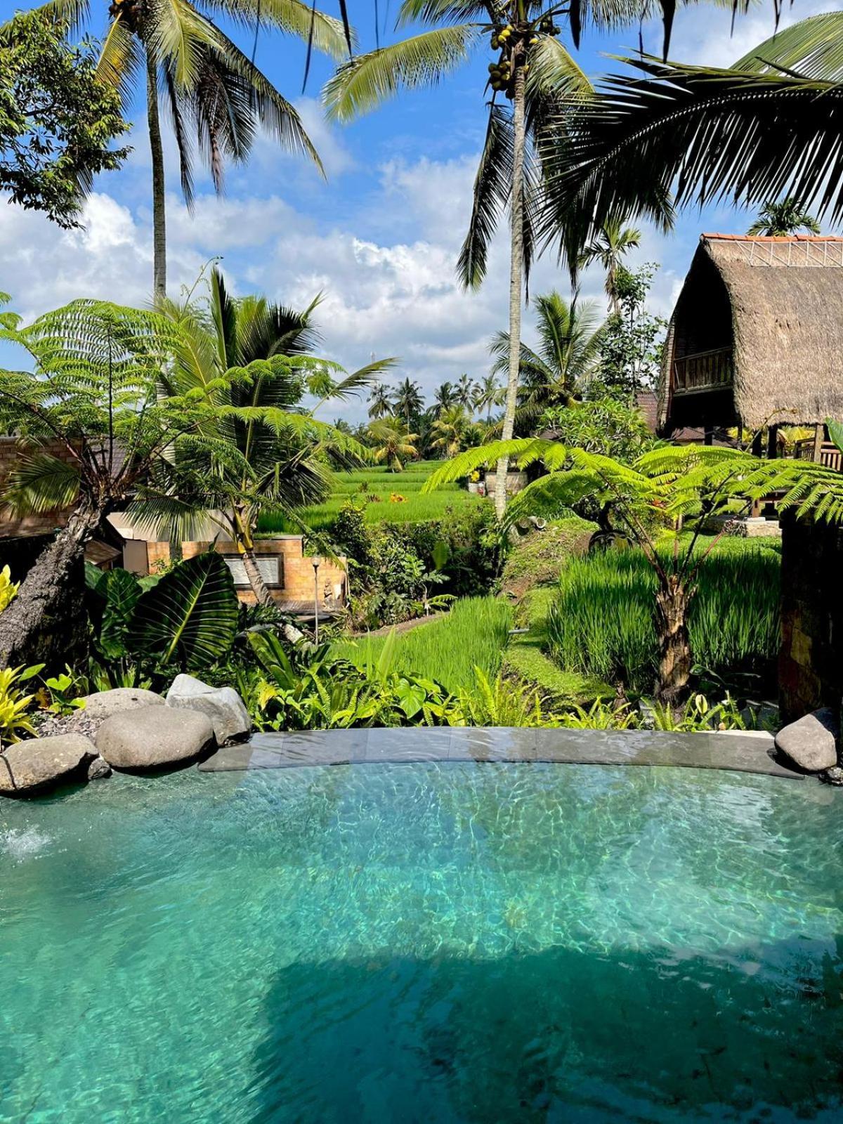 Pondok Sebatu Eco Lodge Tegallalang  Exterior foto